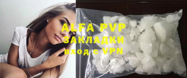 прущие грибы Бугульма