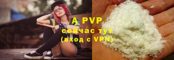 прущие грибы Бугульма