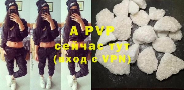 прущие грибы Бугульма