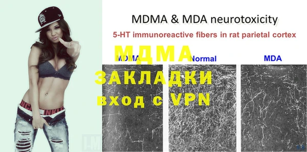 прущие грибы Бугульма