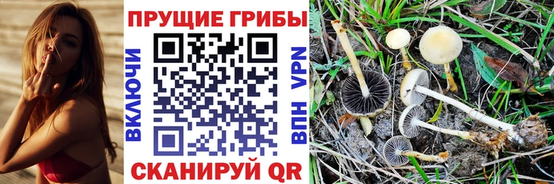 Псилоцибиновые грибы Magic Shrooms Рузаевка