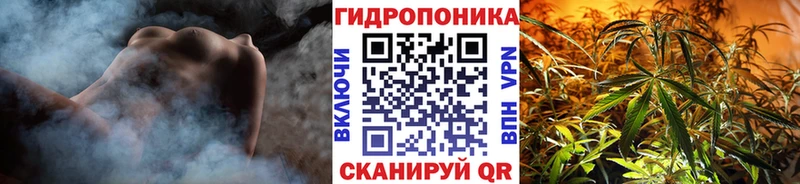 Шишки марихуана индика  где купить наркотик  Рузаевка 